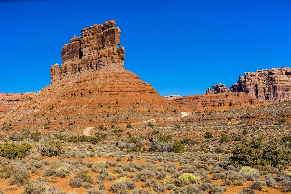 We Are Ready to Buy Your Land In New Mexico.