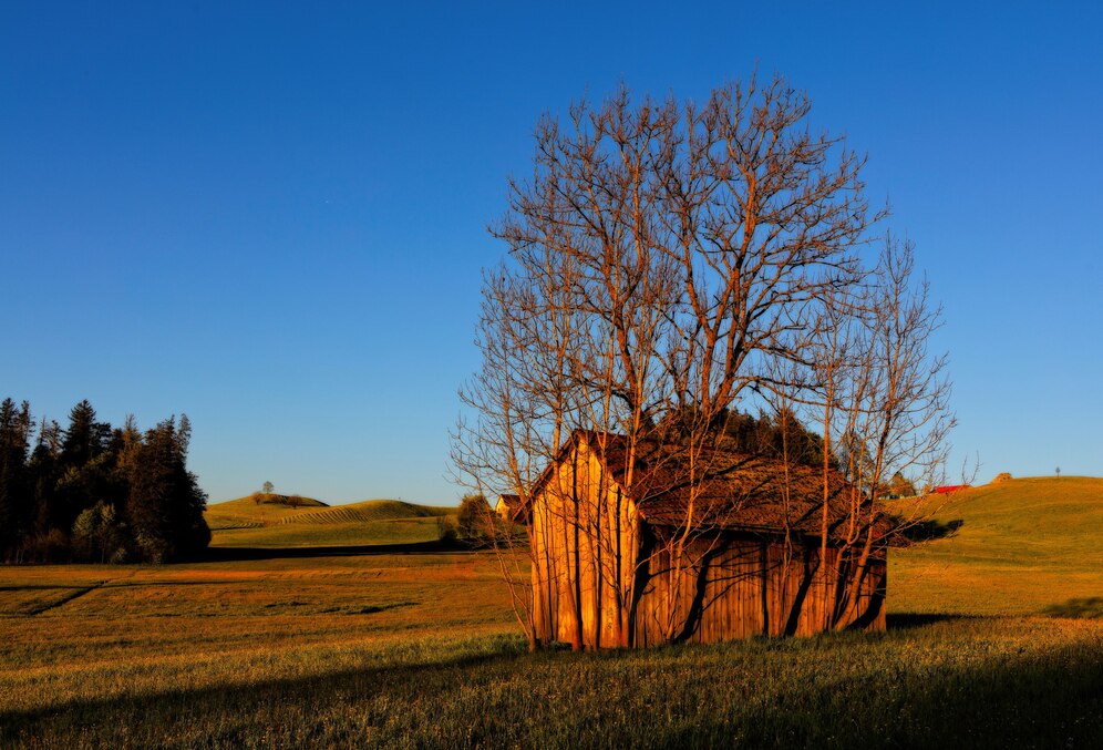 Why Sell Land for Cash in Kentucky?