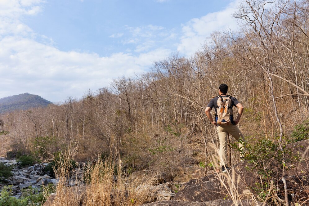 Do You Need a Hunting License on Private Land in West Virginia