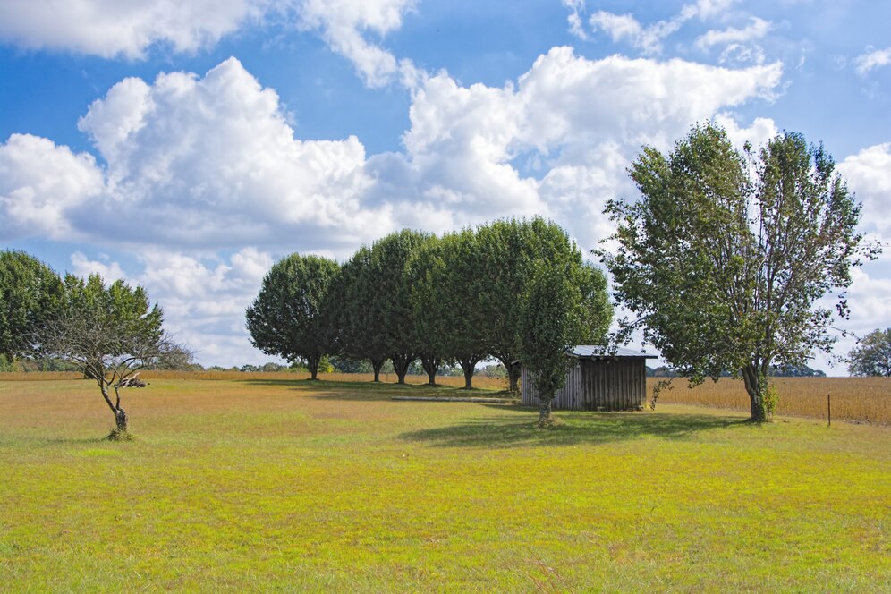 How Much Does a Land Survey Cost in North Carolina?